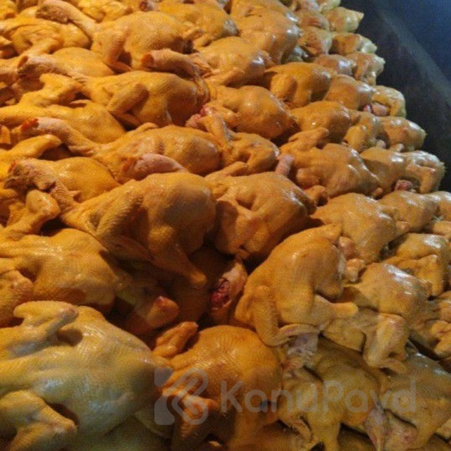 Куры свежие Грозный - изображение 6