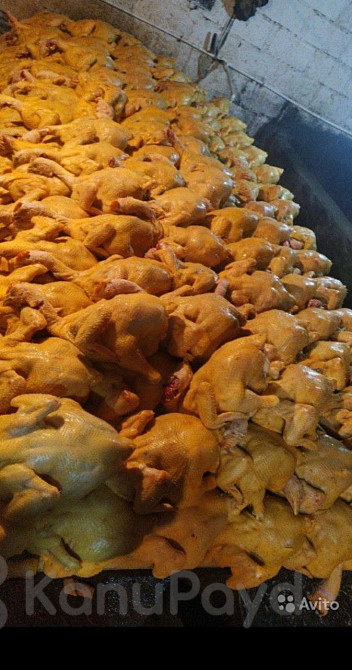 Куры свежие Грозный - изображение 2