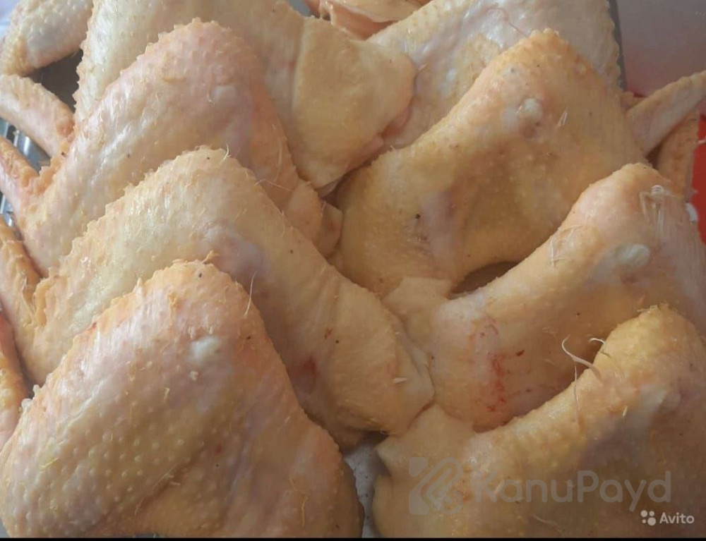 Куры свежие Грозный - изображение 7